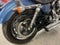 2005 Harley-Davidson Sportster 1200 Custom